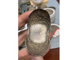 金元宝正面展示